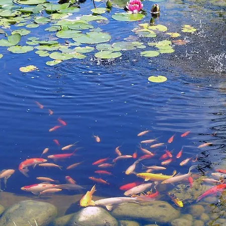 Hotel Restaurant Les Jardins D'epone 2*