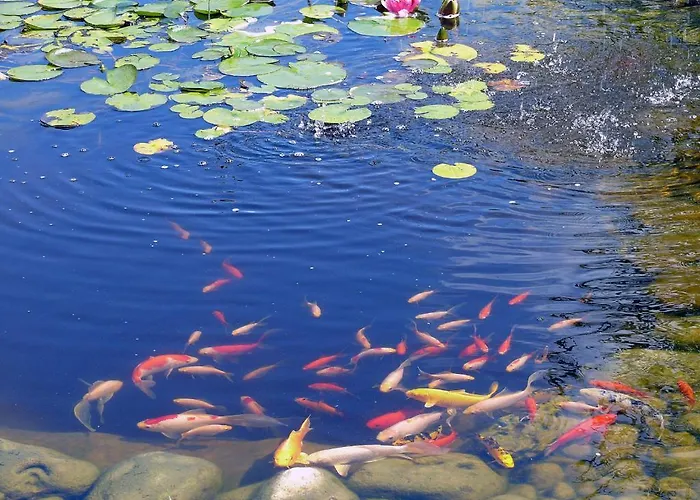 Hotel Restaurant Les Jardins D'epône 2*